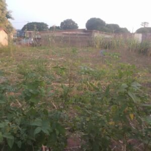 Hectare à vendre – Godomey Togoudo