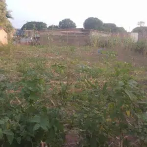 Hectare à vendre – Godomey Togoudo