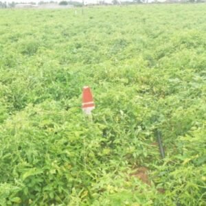 Parcelle commerciale – 800 m² à Cotonou, Fidjrossè