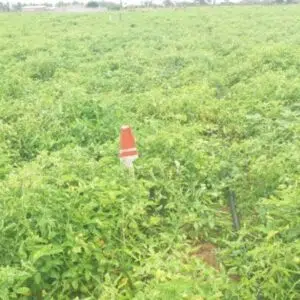 Parcelle commerciale – 800 m² à Cotonou, Fidjrossè