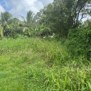 Domaine de 2 hectares – Abomey-Calavi, Akassato