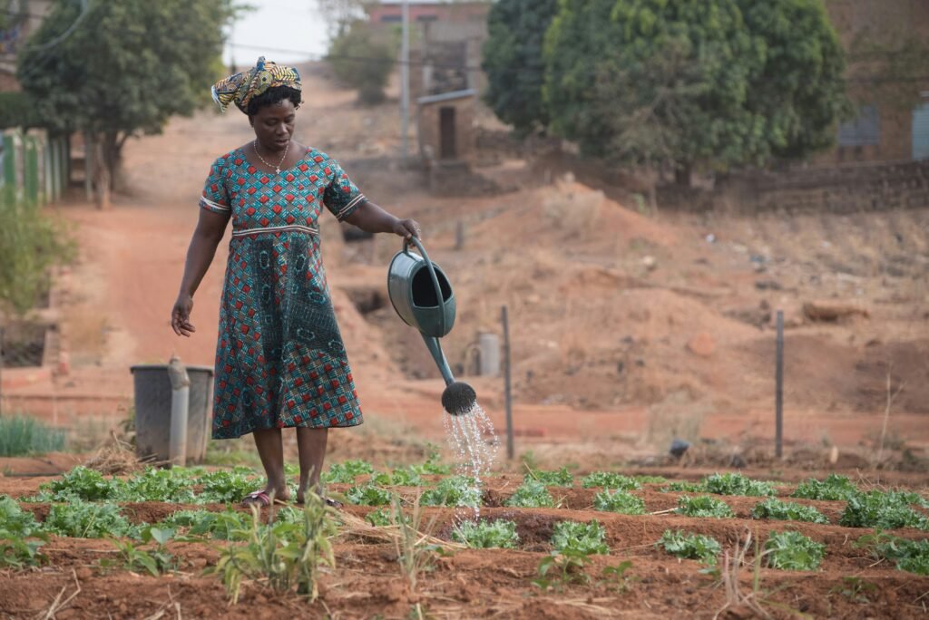 L’avenir des terrains agricoles : une mine d’or sous-estimée au Bénin