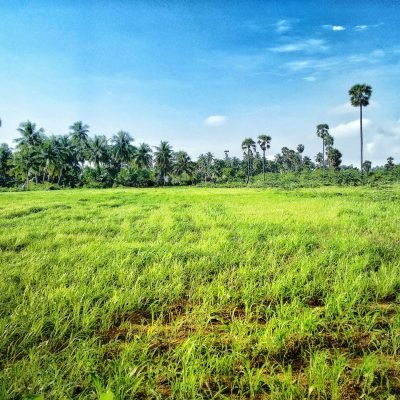 Terrain bien placé, terrain bien documenté, terrain bien exploitable : lequel vaut vraiment le plus ?